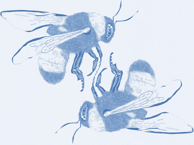 Digitally illustrated bees, blue.