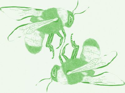Digitally illustrated bees, green.