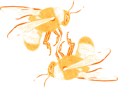 Digitally illustrated bees, orange.