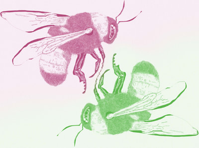 Digitally illustrated bees, magenta and green.