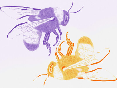 Digitally illustrated bees, purple and orange.